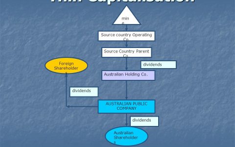 什么是资本弱化（Thin capitalisation）？