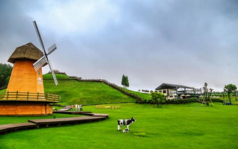 澳洲购买牧场如何申请贷款？（Turf Farm）