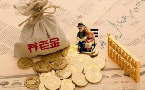 政府共同出资养老金
