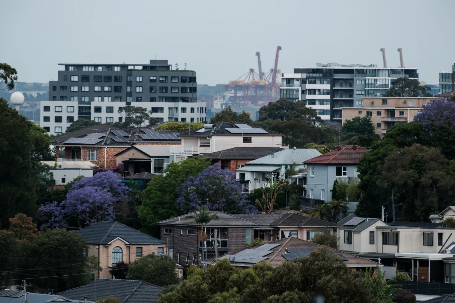 悉尼房价下跌最快的Suburbs