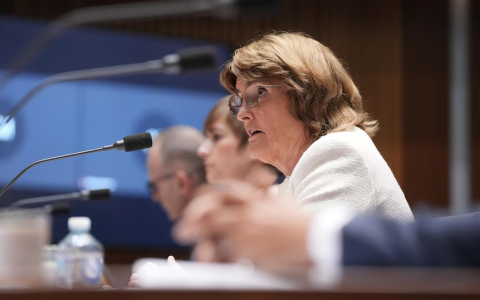 澳洲一月份失业率仍为4.1%，引发了再次加息的讨论